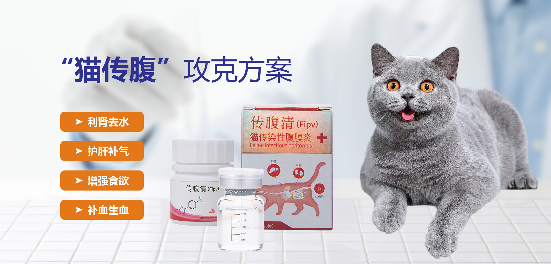 猫传腹治疗