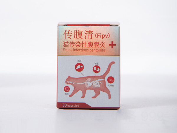 猫传腹治疗