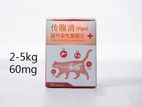 湿性猫传腹价格